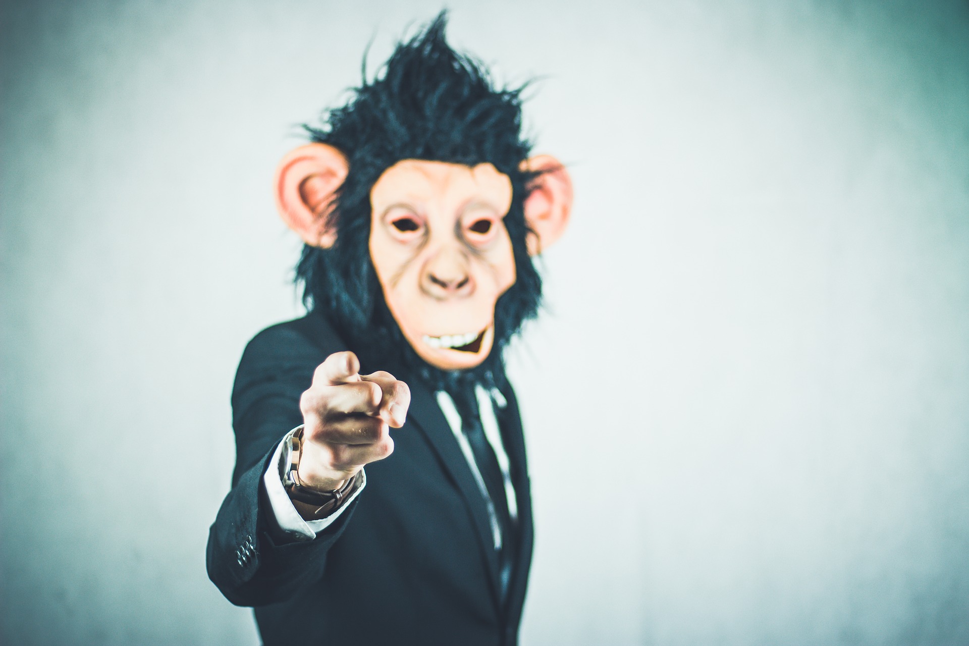 ape-gd3a1e7b69_1920 ape-gd3a1e7b69_1920
